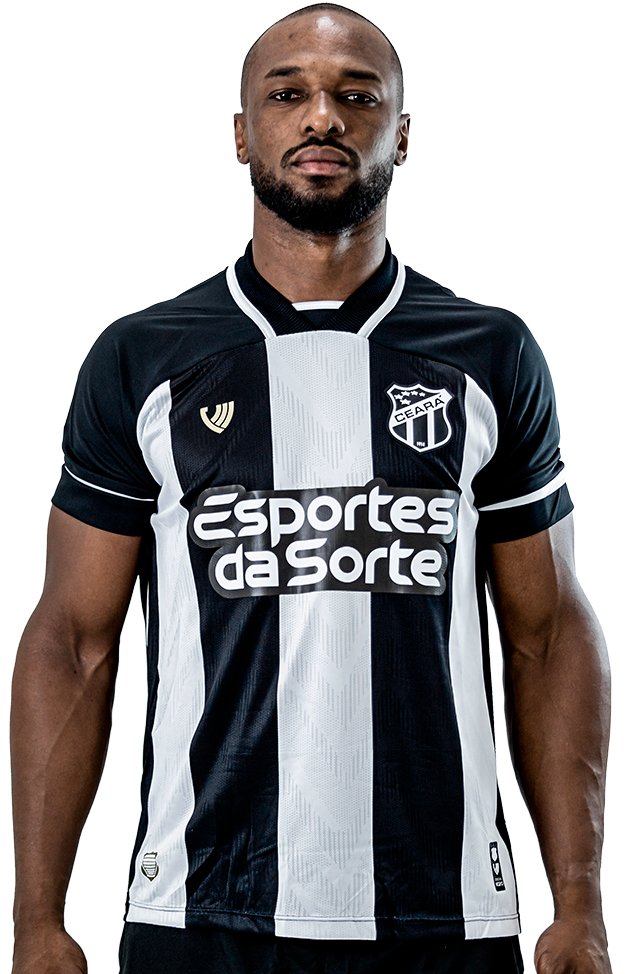 Saiba mais sobre: Luiz Otávio Anacleto Leandro  (13)  