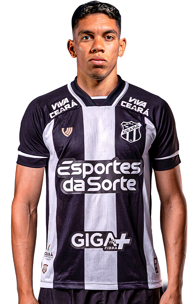 Saiba mais sobre: Paulo Henrique Silva Ribeiro  