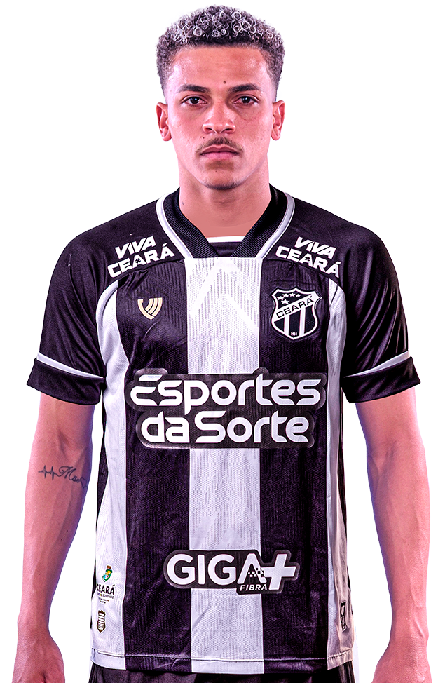 Saiba mais sobre: Rodrigo Henrique Santos de Souza  