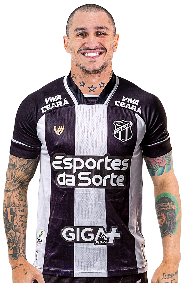 Saiba mais sobre: Vinícius Goes Barbosa de Souza  (29)  
