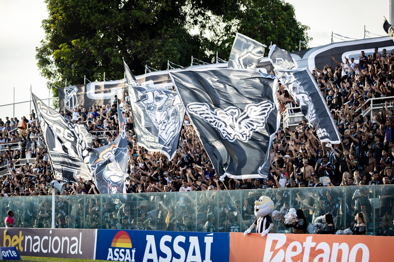 TJDF-CE suspende TOC e MOFI de jogos do Ceará até decisão final do Pleno